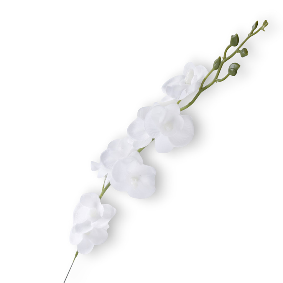 Storczyk Mini - gałązka 52 cm, m K607-m