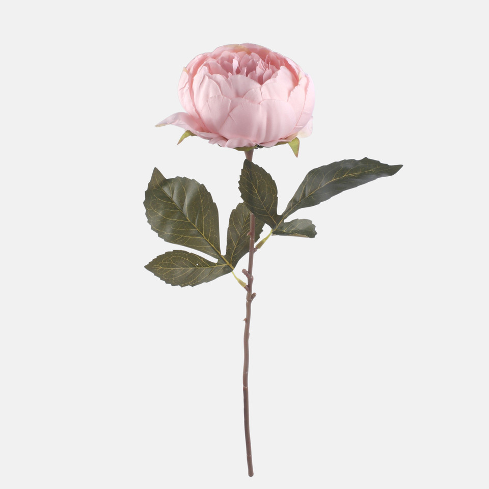 Peonia, Lt. Pink/Lt. Green Edge G472-04