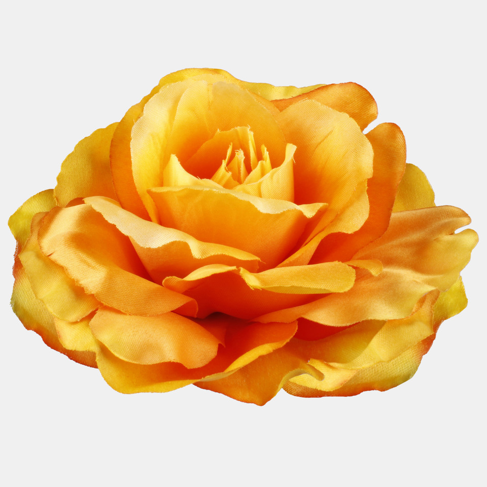 Róża, Orange/Yellow/Green/Red Edge W729-11