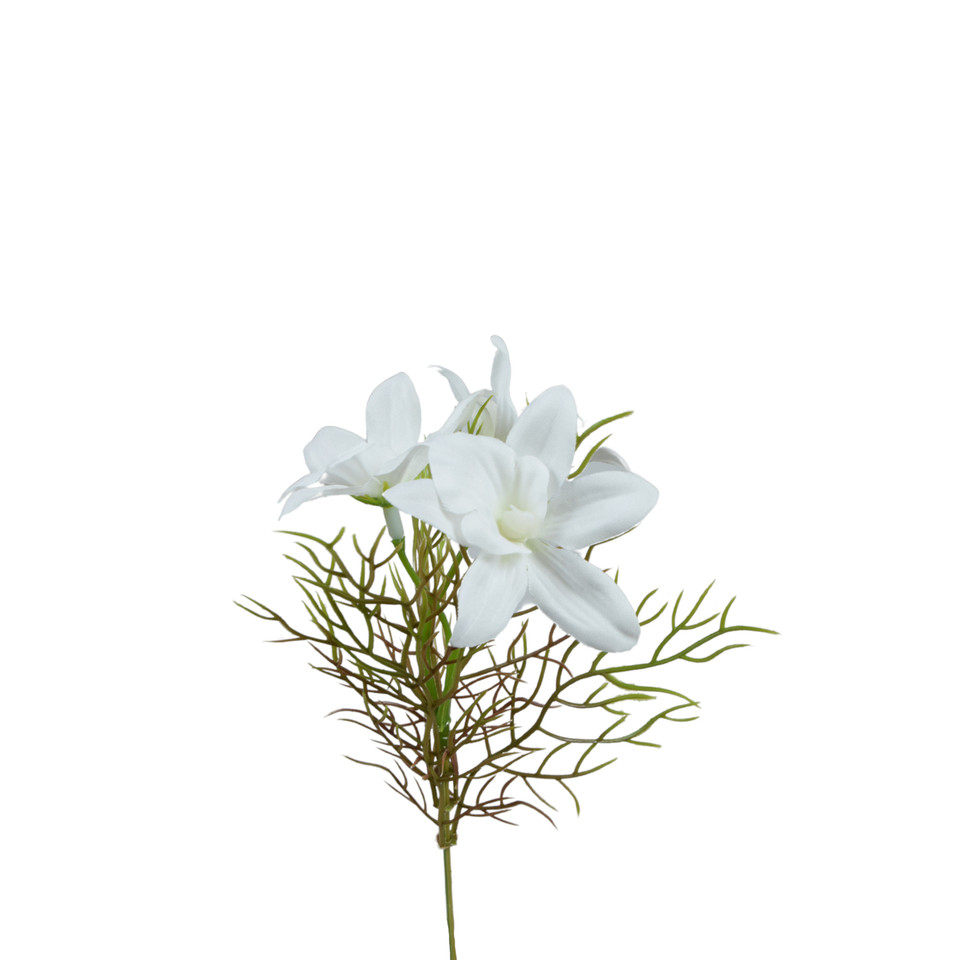Żonkil - pik 33 cm, m DK075E-m