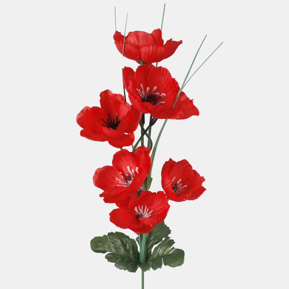 Poppy, Red G346-01
