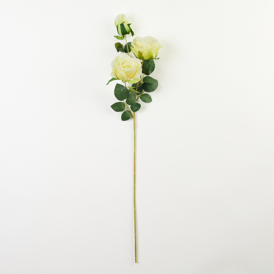 Róża – gałązka x3, cream w/green A59-003