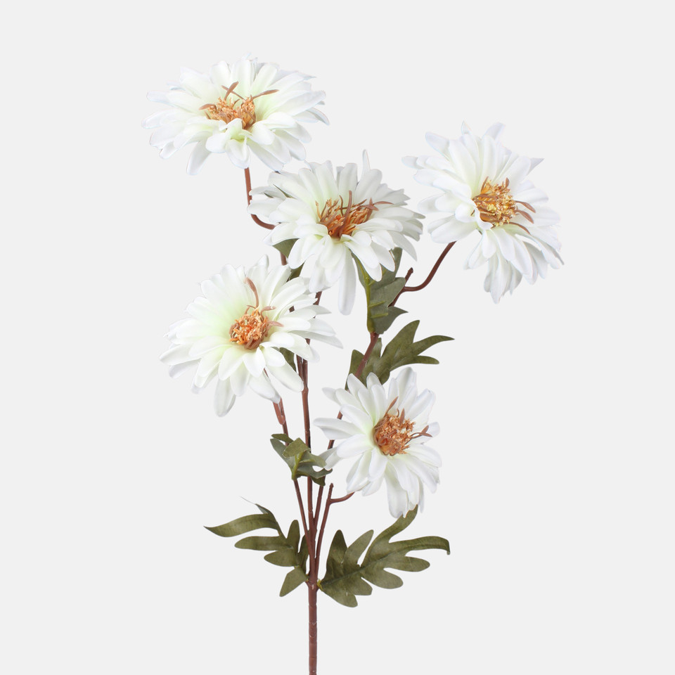 Dahlia, White L866K-01