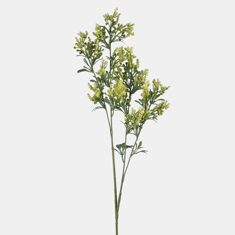 Lucerne, Green L855-02