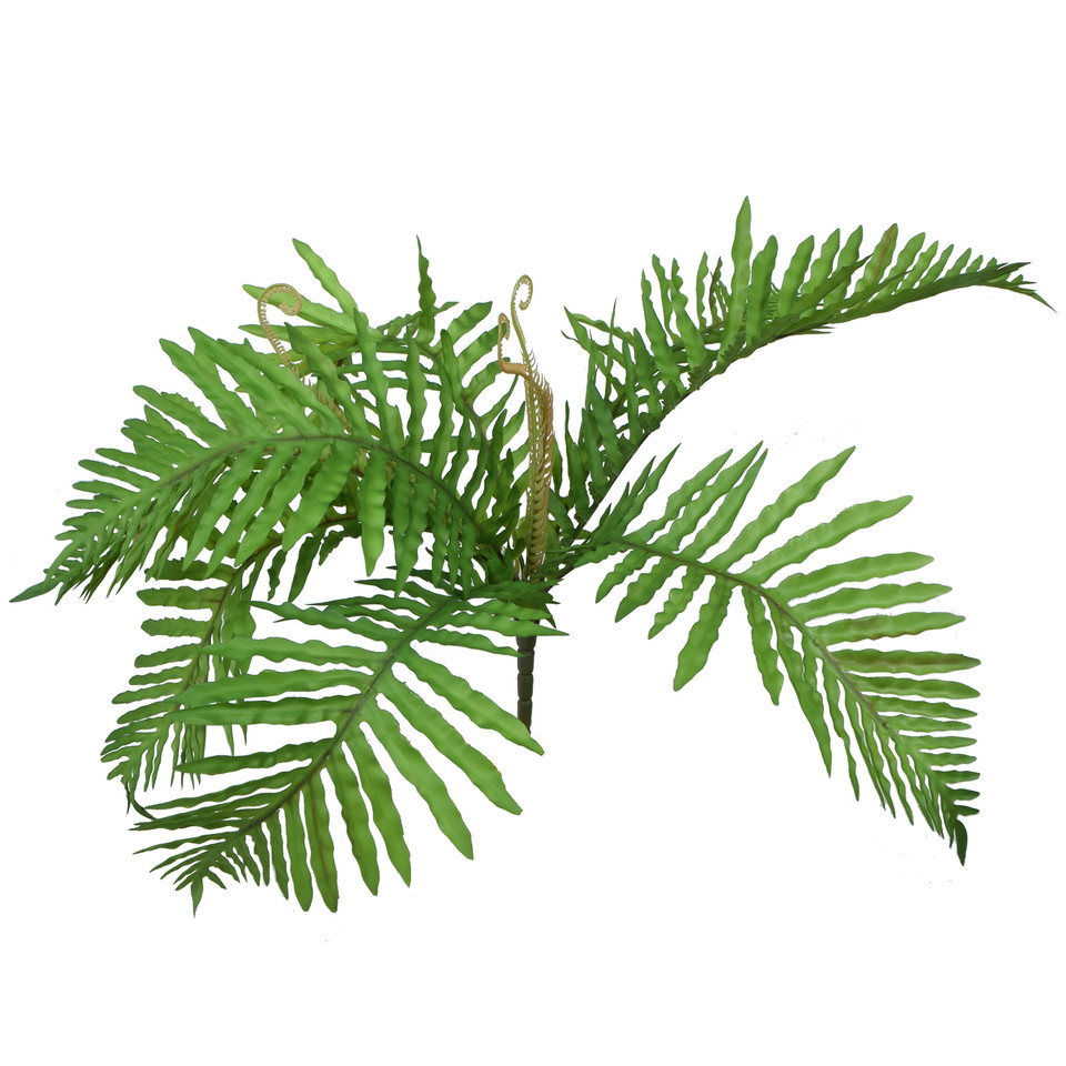 Palma - bukiet 50 cm R676-00