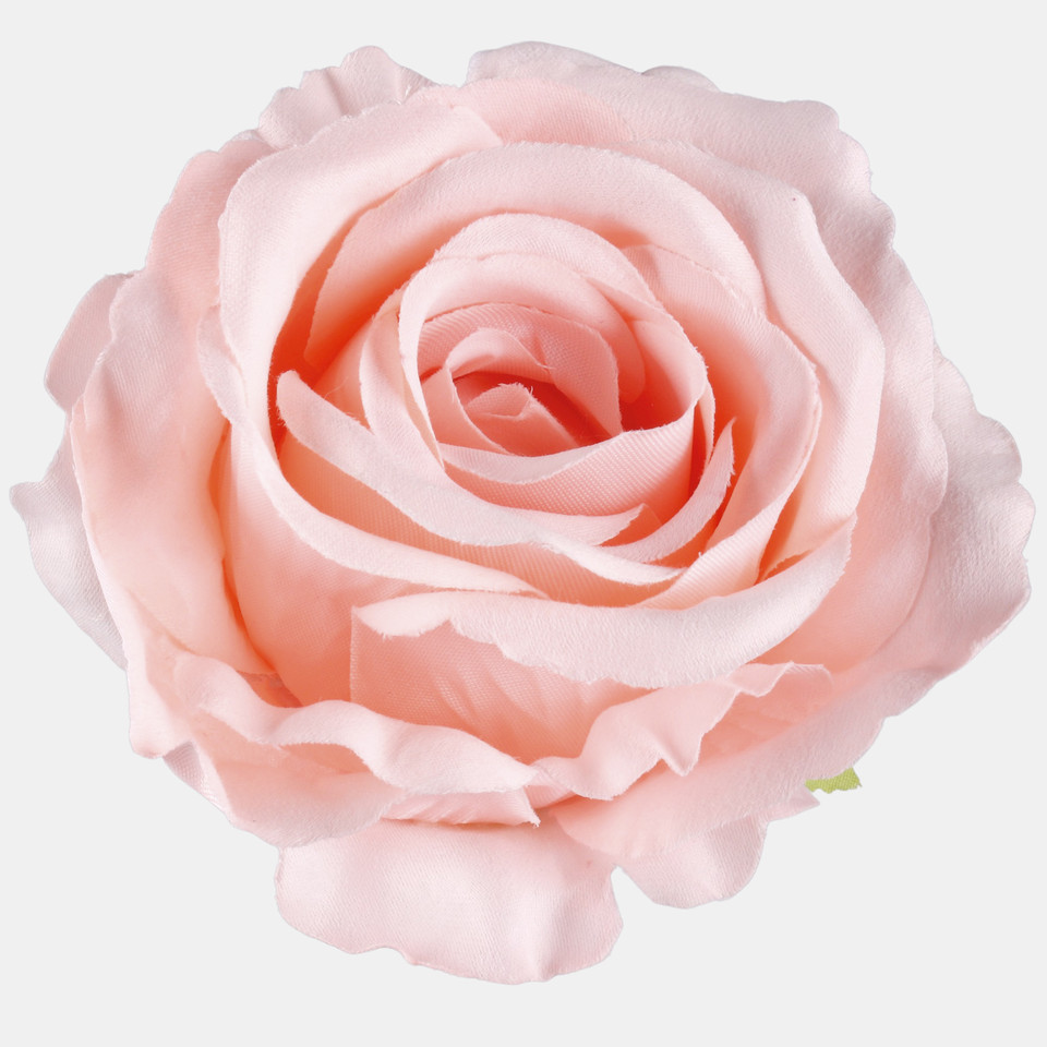 Rose, Lt. Mauve W697-05