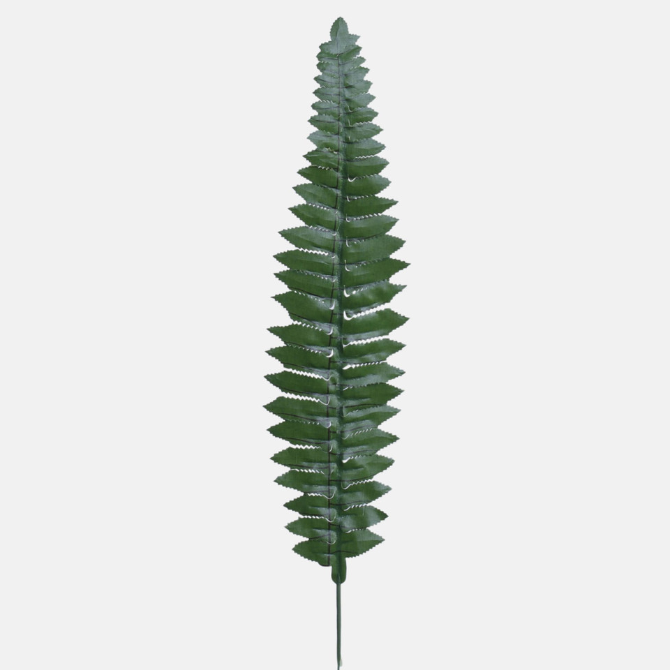 Liść paproci, Green H021A-01