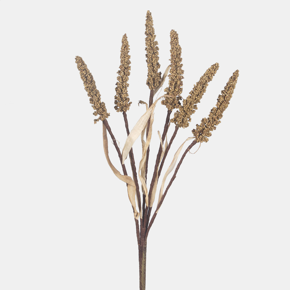 Setaria, Autumn Beige A769-02