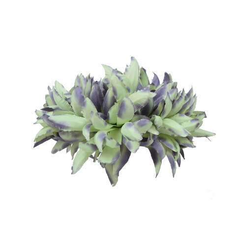 Chryzantema - główka 18 cm, green/purple W059-57
