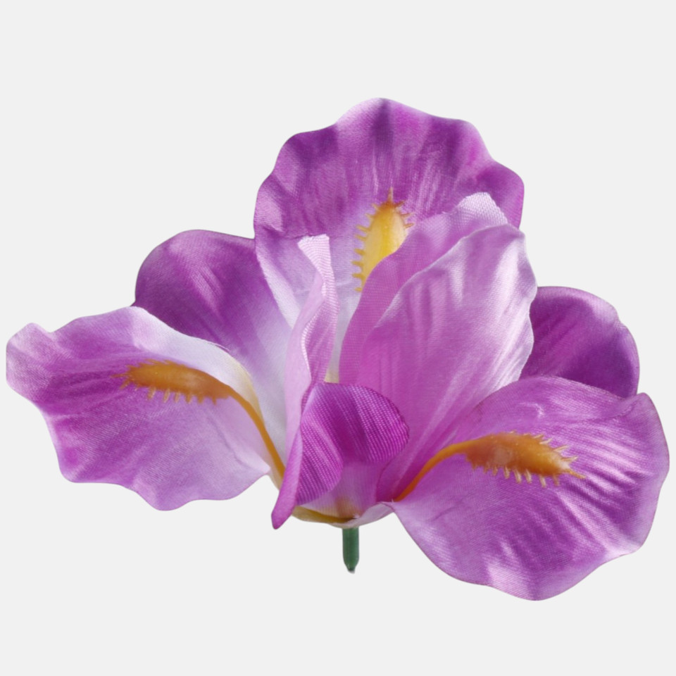 Iris, Lavender W339-04