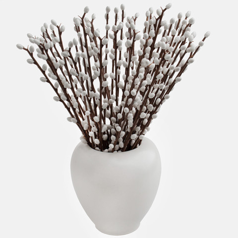 Willow large twig with catkins without leaves A123