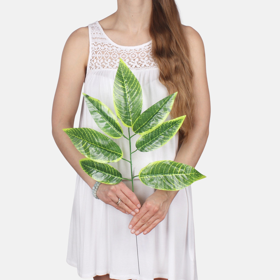 Nut F216