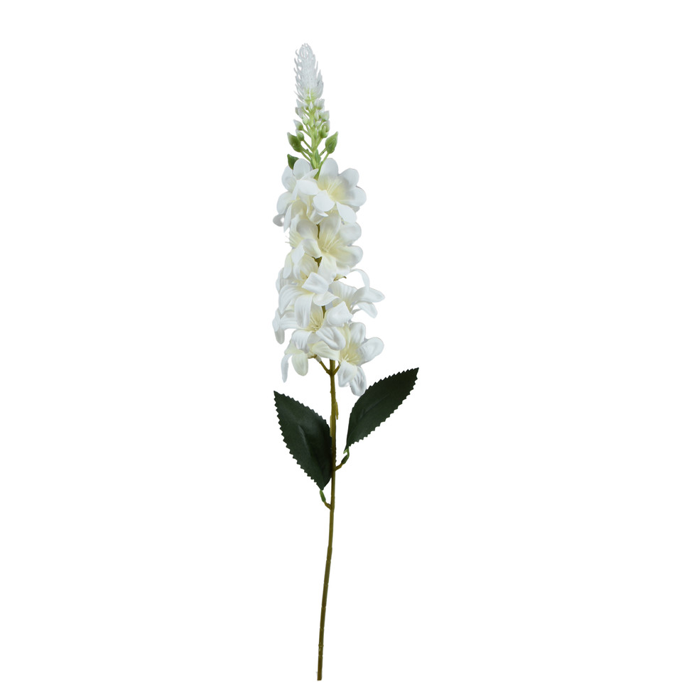 Delfinium Ostróżka – gałązka 75 cm, m K649-m