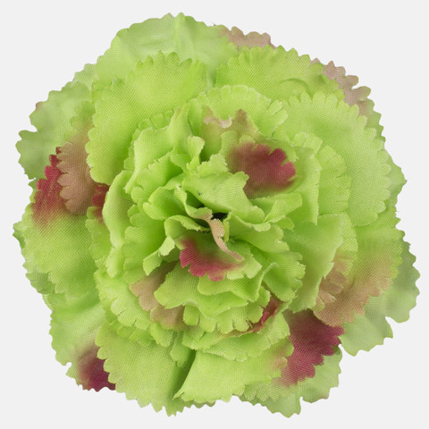 Carnation, T.T. Green/Pink Edge W680-08