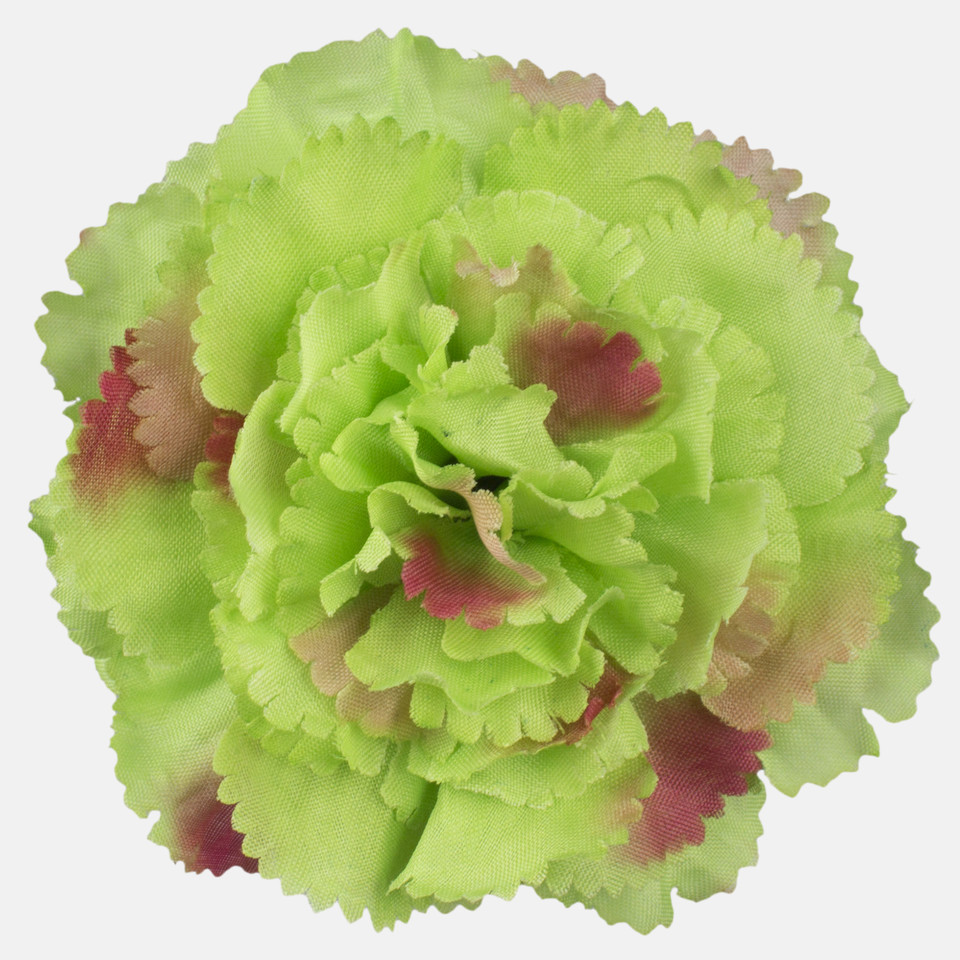 Carnation, T.T. Green/Pink Edge W680-08