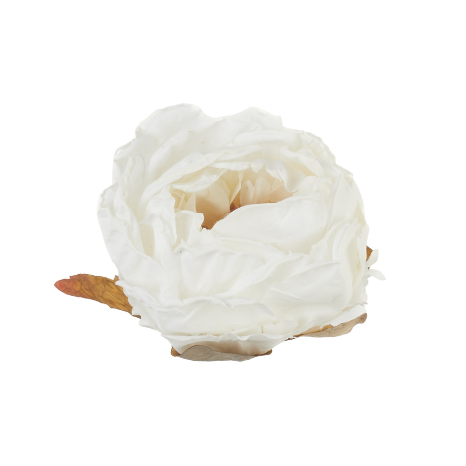 Peonia - główka, 01 cream B138-01