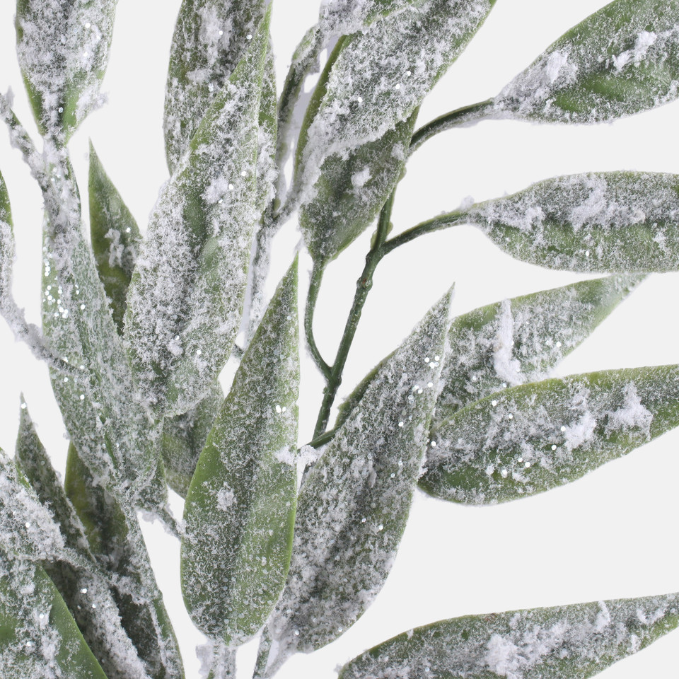 Snow-covered willow, Frosted Green A853S-01