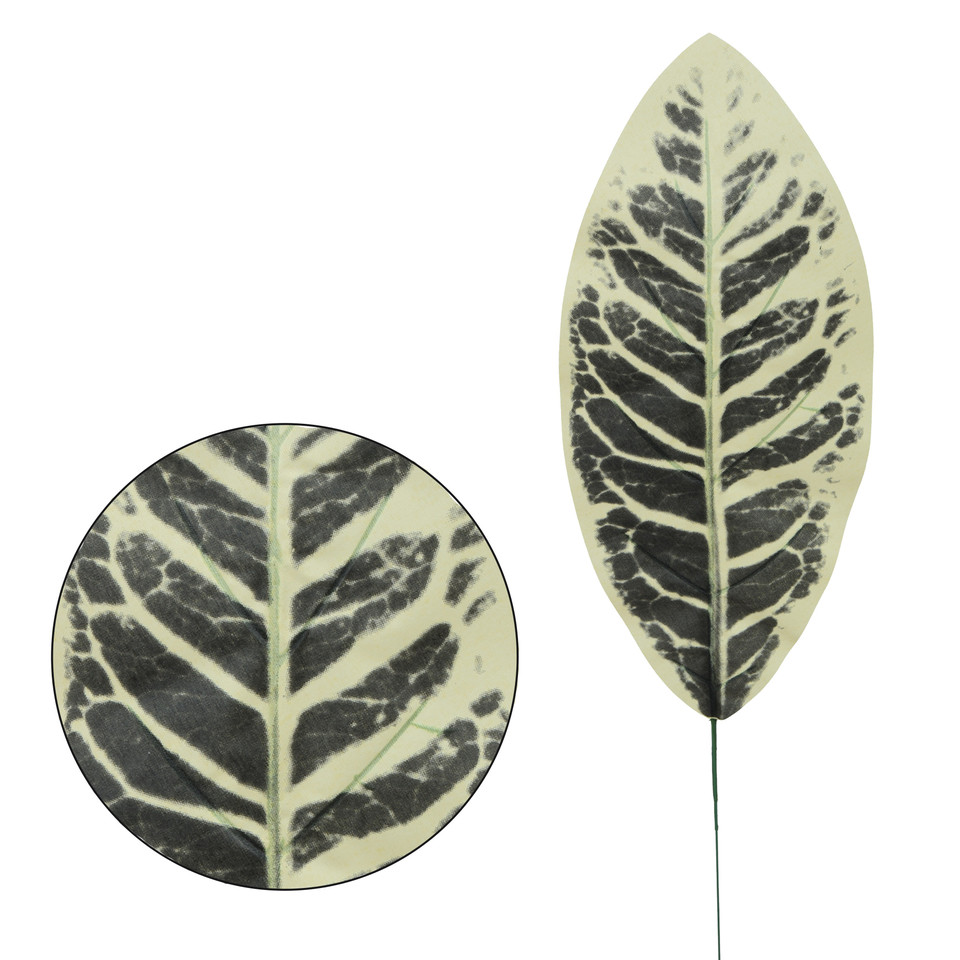 Kalatea - liść 49 cm L530-00
