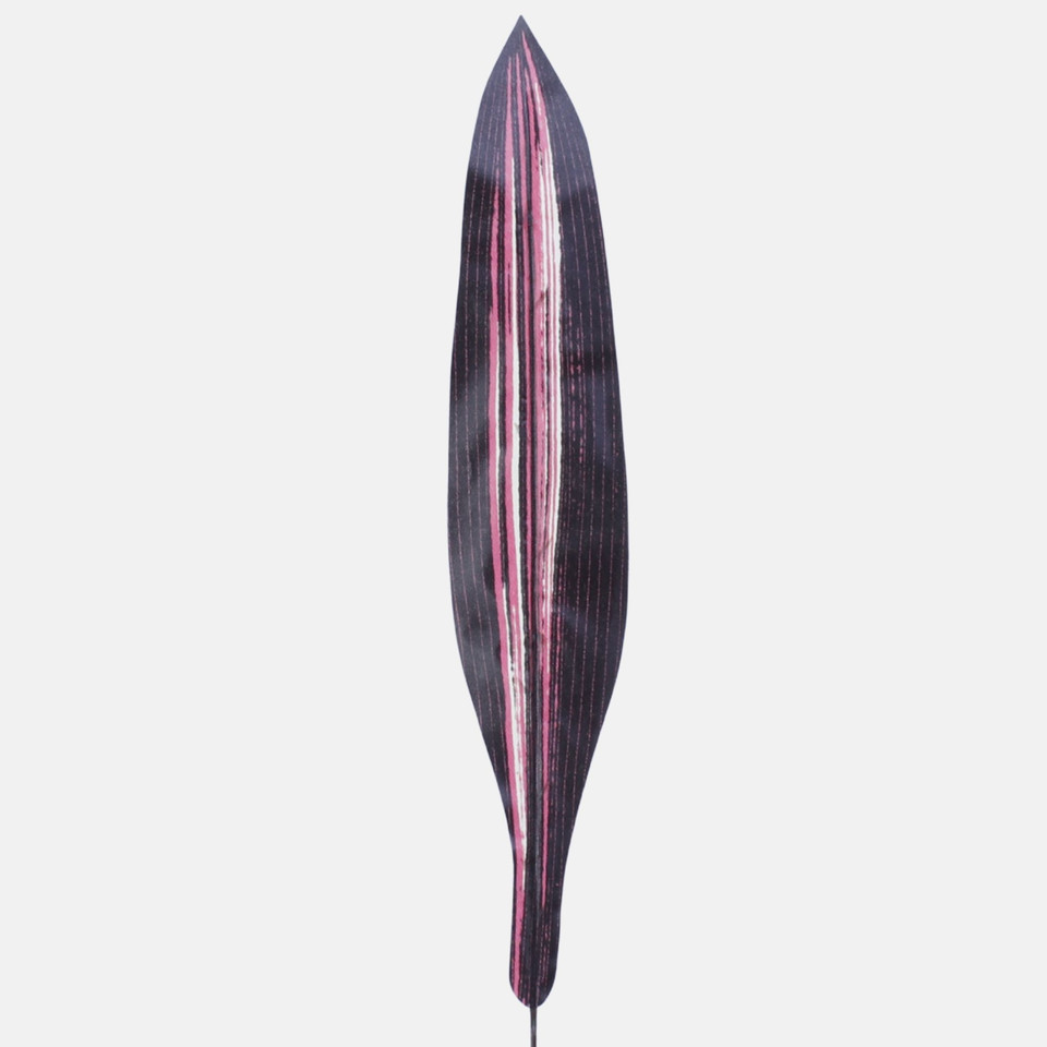 Liść draceny, Red H010B-02