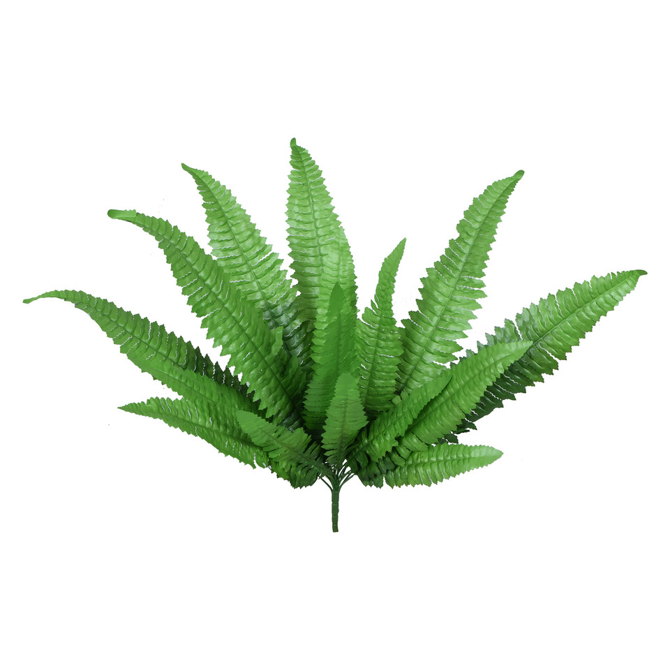 Paproć - bukiet 59 cm, green R587-00