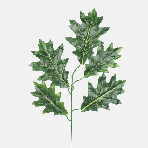 Oak F163