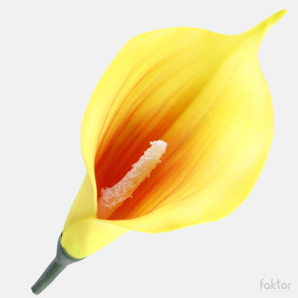 Mini foam calla, Orange/Yellow W731-06