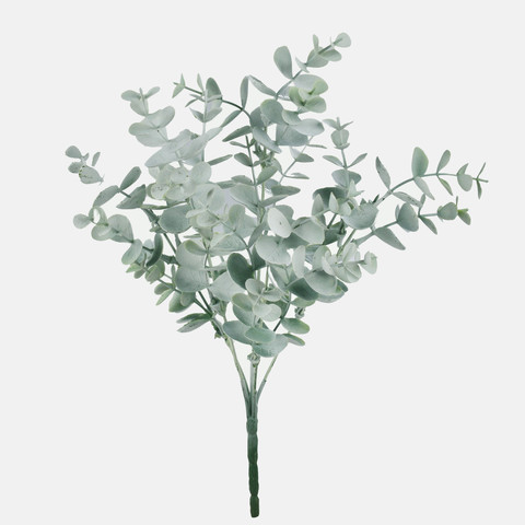 Eucalyptus Z198