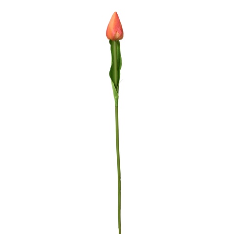 Tulipan - gałązka 44 cm, m K375-m