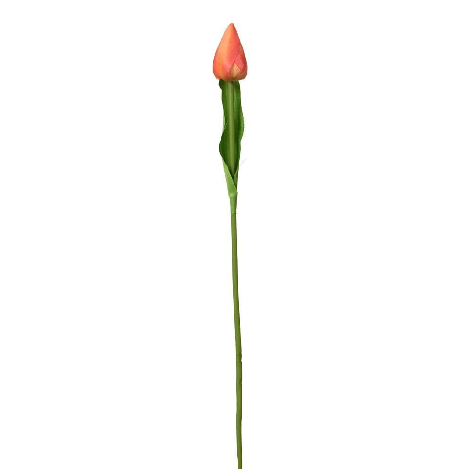 Tulipan - gałązka 44 cm, m K375-m