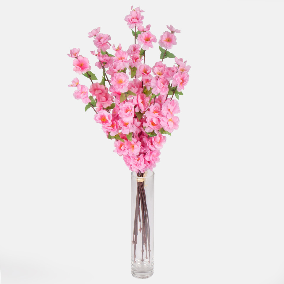 Jabłoń, Lt. Pink G207-04