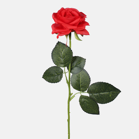 Rose, Red G397-02