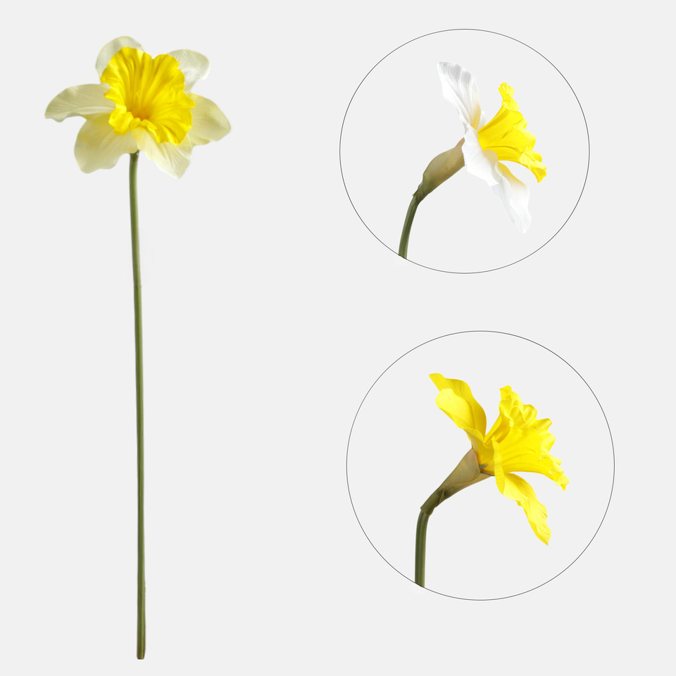 Żonkil, T.T. Yellow G509-02