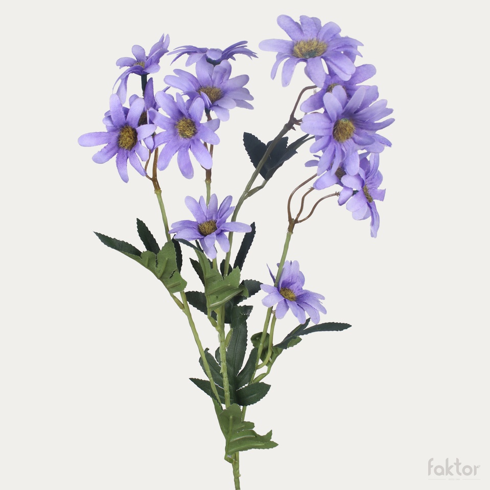 Pyrethrum, Lilac L865-05