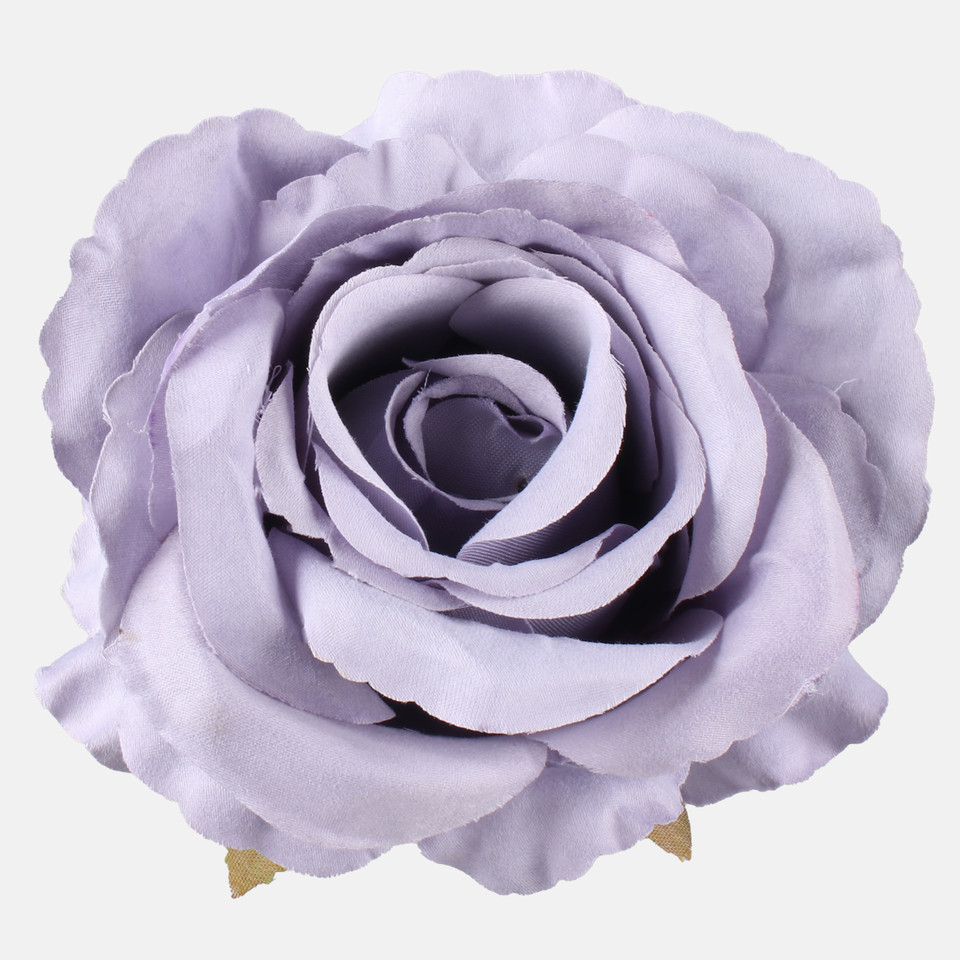 Rose, Autumn Lilac W697-15