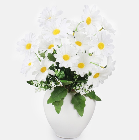 Daisy x 7 QA278