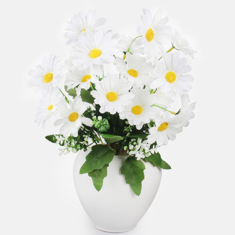 Daisy x 7 QA278