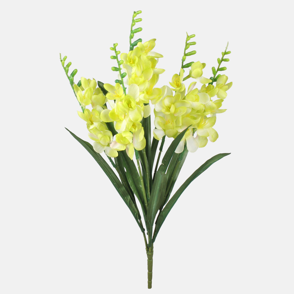 Freesia bouquet x 5, Lt. Green QA353-04