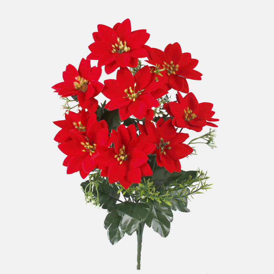Poinsettia x 9, Red QA299S-01