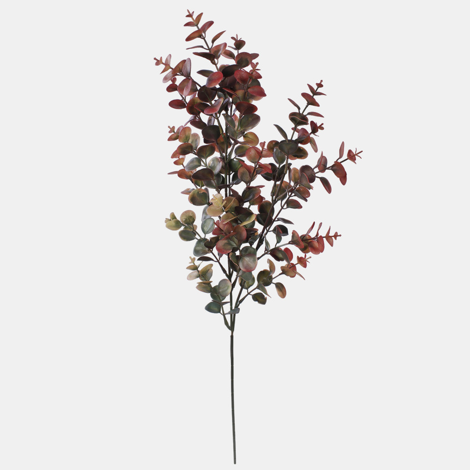 Eukaliptus, Dk. Green/Burgundy F249-06