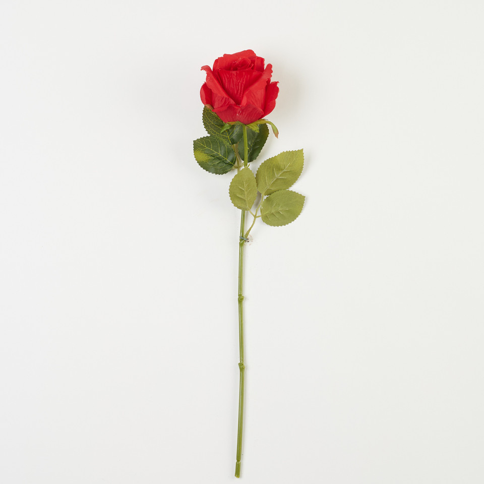 Róża – gałązka, pure red B08-012