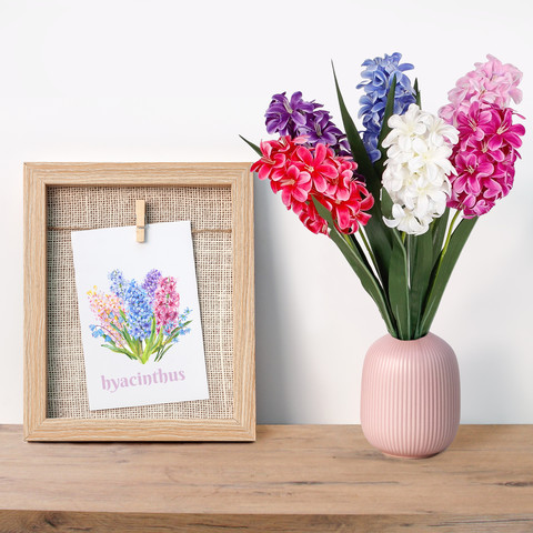 Hyacinth G452