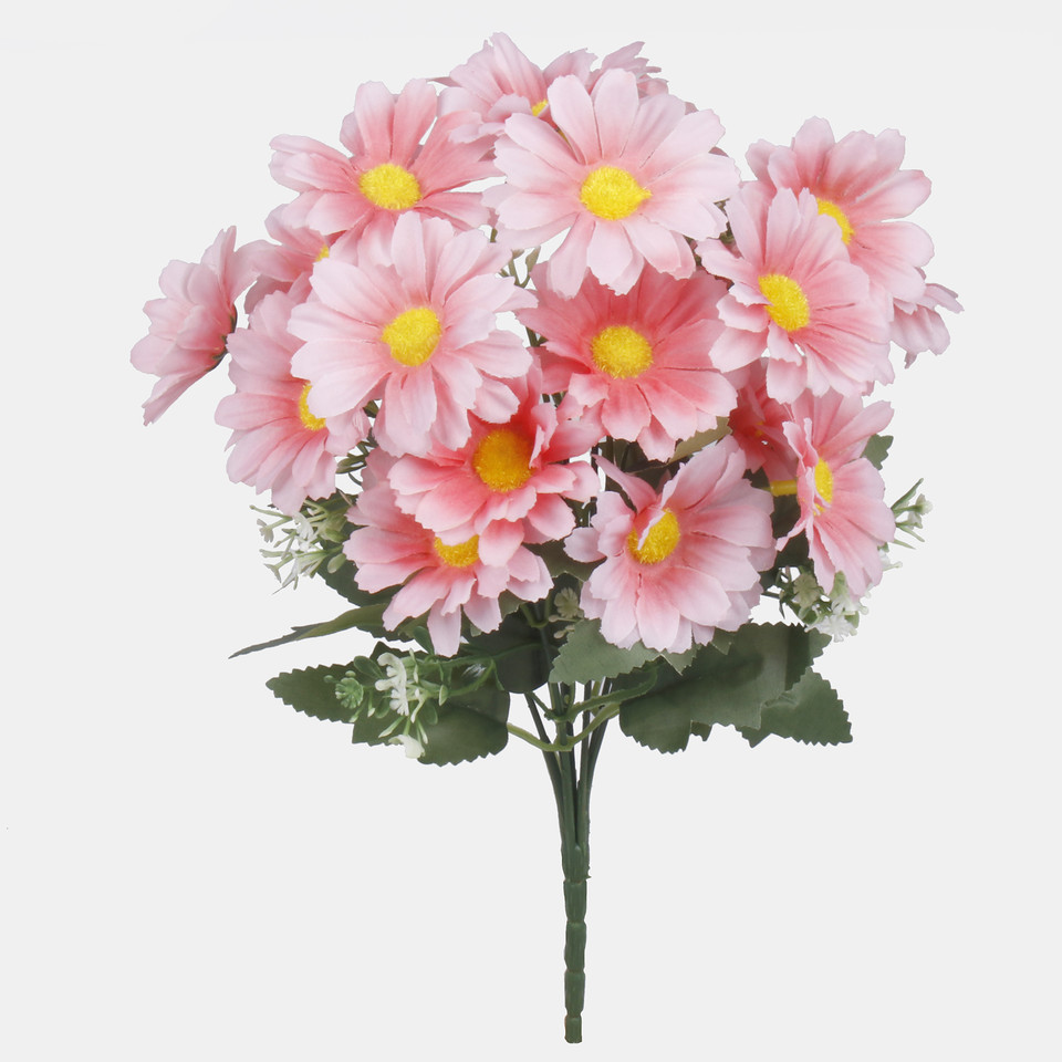 Daisy x 7, Lt. Pink QA278-02