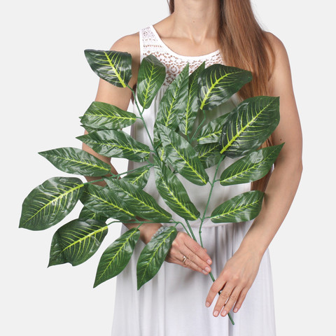Mango F191 (Product size)