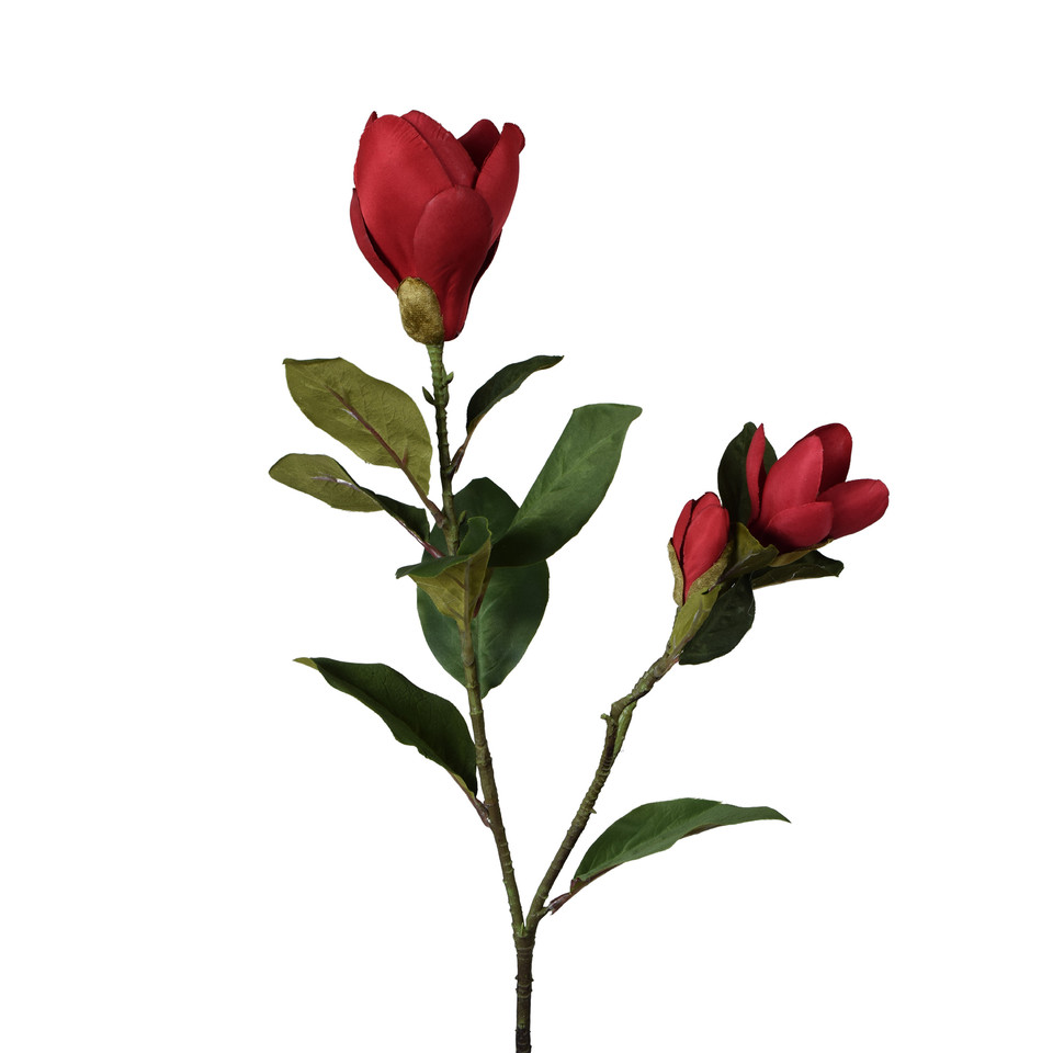 Magnolia - gałązka 82 cm, red GK347-04