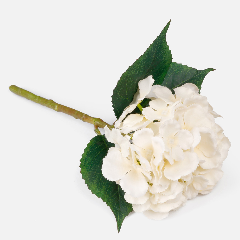 Hydrangea, Mix 1 G417-01
