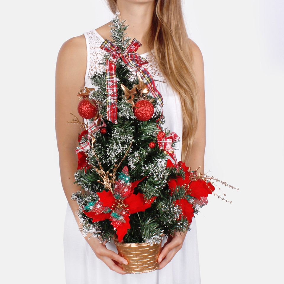 Christmas tree S754