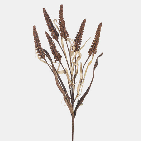 Setaria, Autumn Lt. Brown A769-03