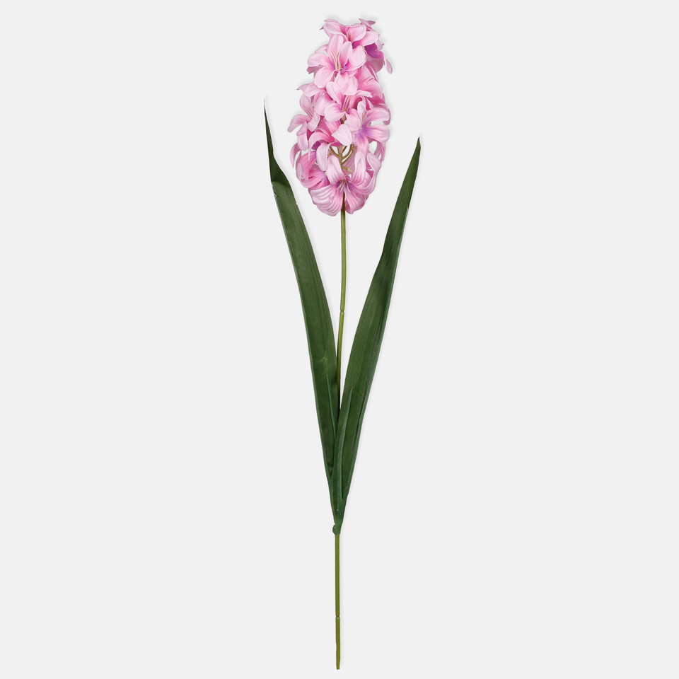 Hiacynt, Lt. Pink G452-03