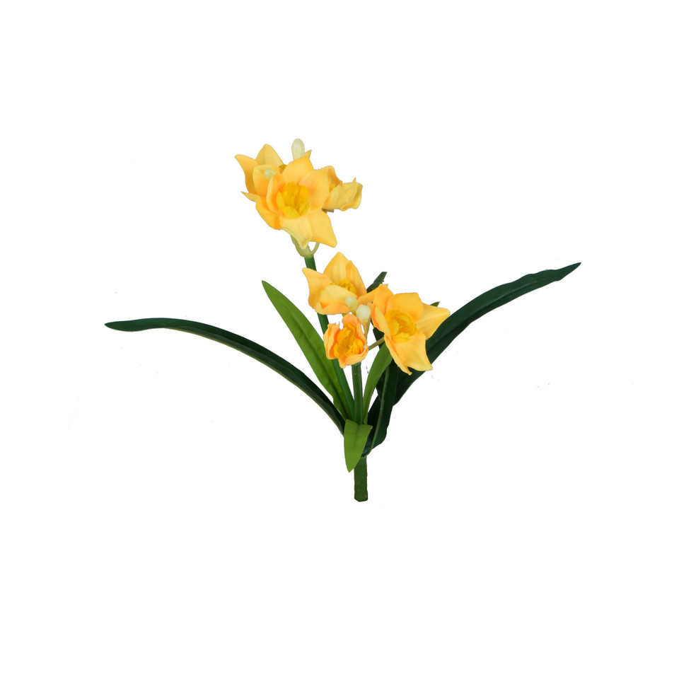Żonkil - bukiet 36 cm, m U970E-m