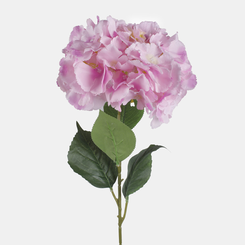 Hydrangea, Pink L826K-02